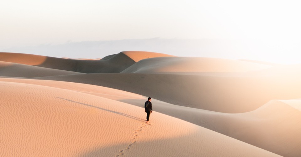 40 Powerful Lent Bible Verses for Reflection and Renewal