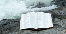 10 Ways the Psalms Lead Us to Deeper Worship