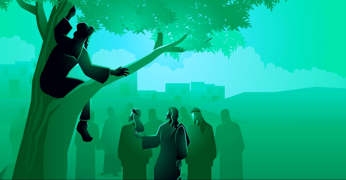 Zacchaeus in the tree