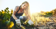 14 Tips for Spring Gardening