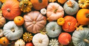 How to Prepare a Thankful Heart before the Turkey Hits the Table - Your Nightly Prayer - November 26th