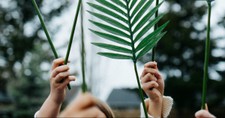 5 Things about Palm Sunday That Remind Us Christ Is King