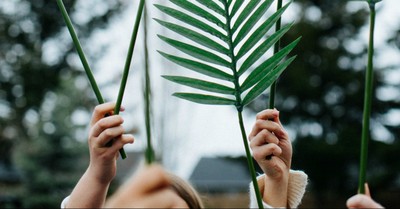 5 Things about Palm Sunday That Remind Us Christ Is King